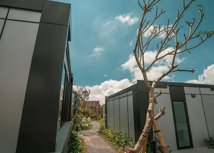 Montevela Glamping Kintamani Campo de lujo Kubupenlokan